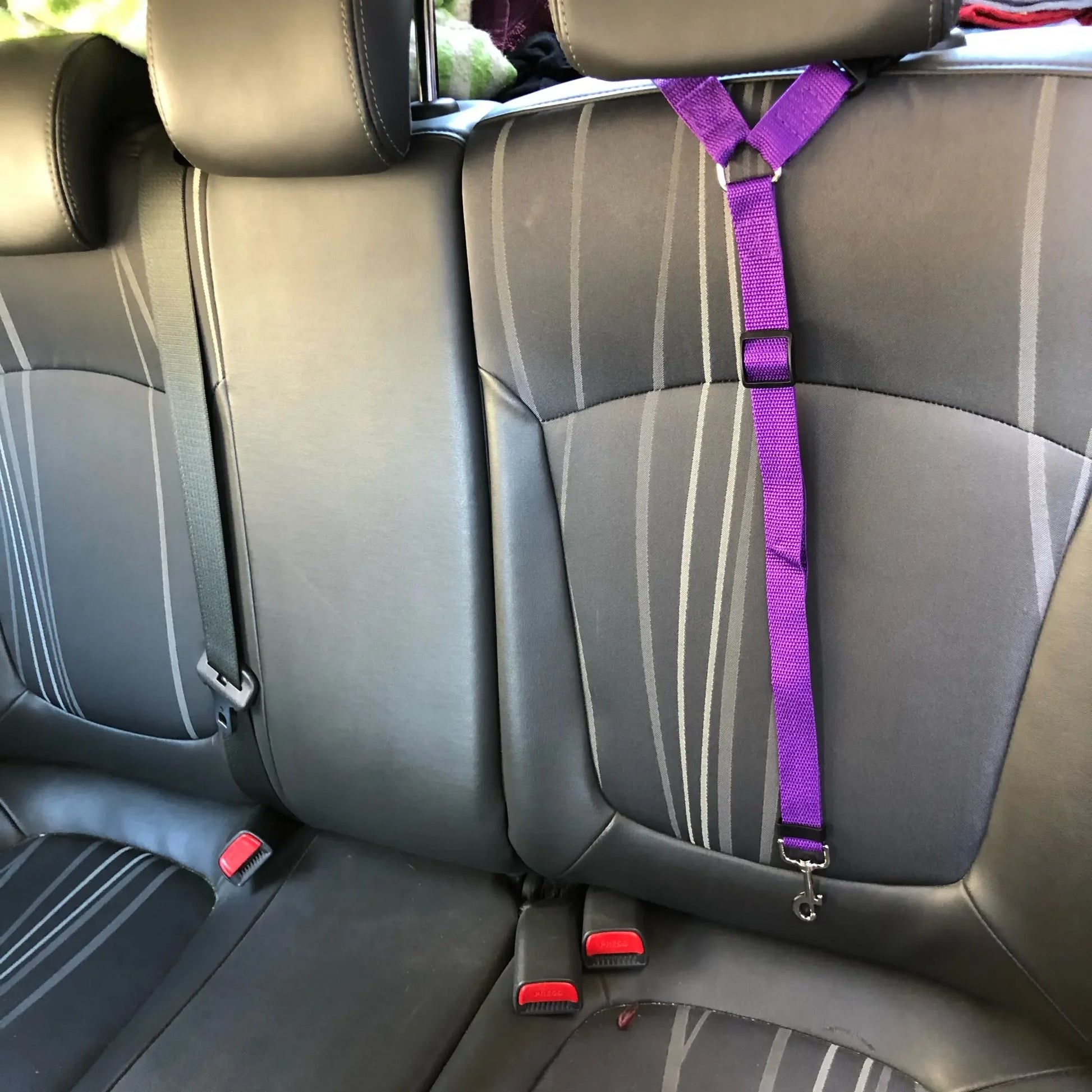 Two-in-One Pet Car Seat Belt: Solid Color Nylon Lead Leash, Adjustable Backseat Safety Belt & Dog Harness - Paws Solution