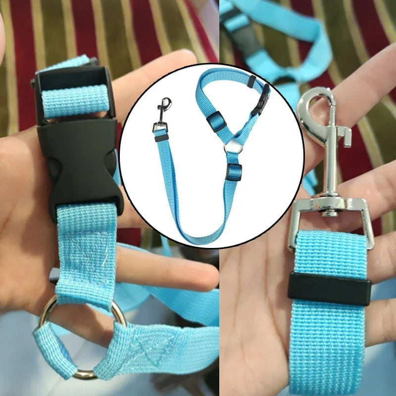 Two-in-One Pet Car Seat Belt: Solid Color Nylon Lead Leash, Adjustable Backseat Safety Belt & Dog Harness - Paws Solution