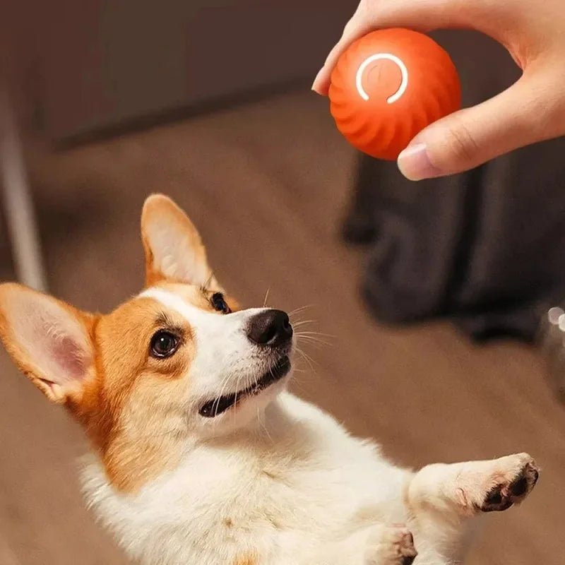 Smart ball for dogs 4