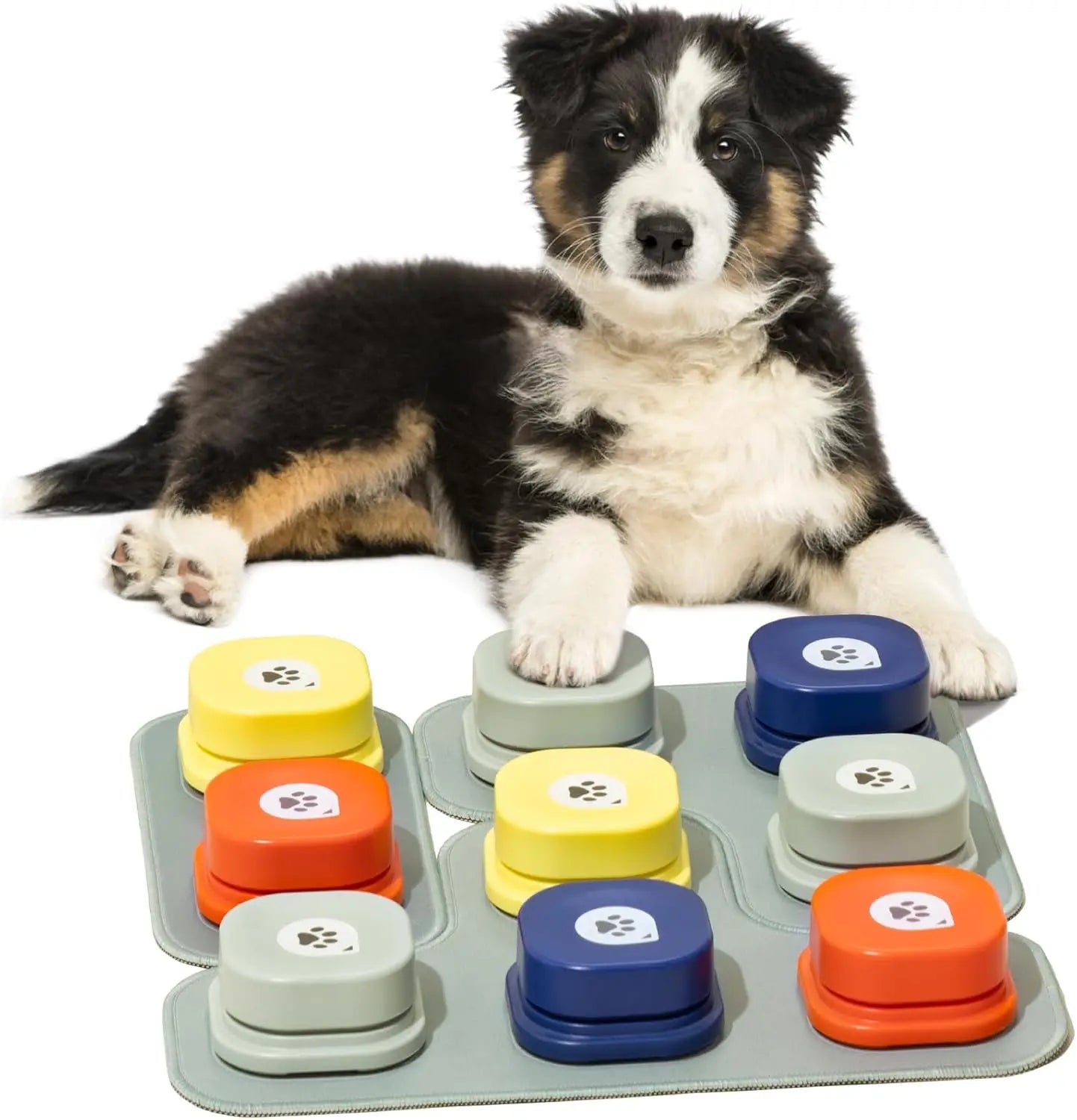 MEWOOFUN Dog Talking Button with Pad and Sticker, Pet Communication Training Toy - Paws Solution