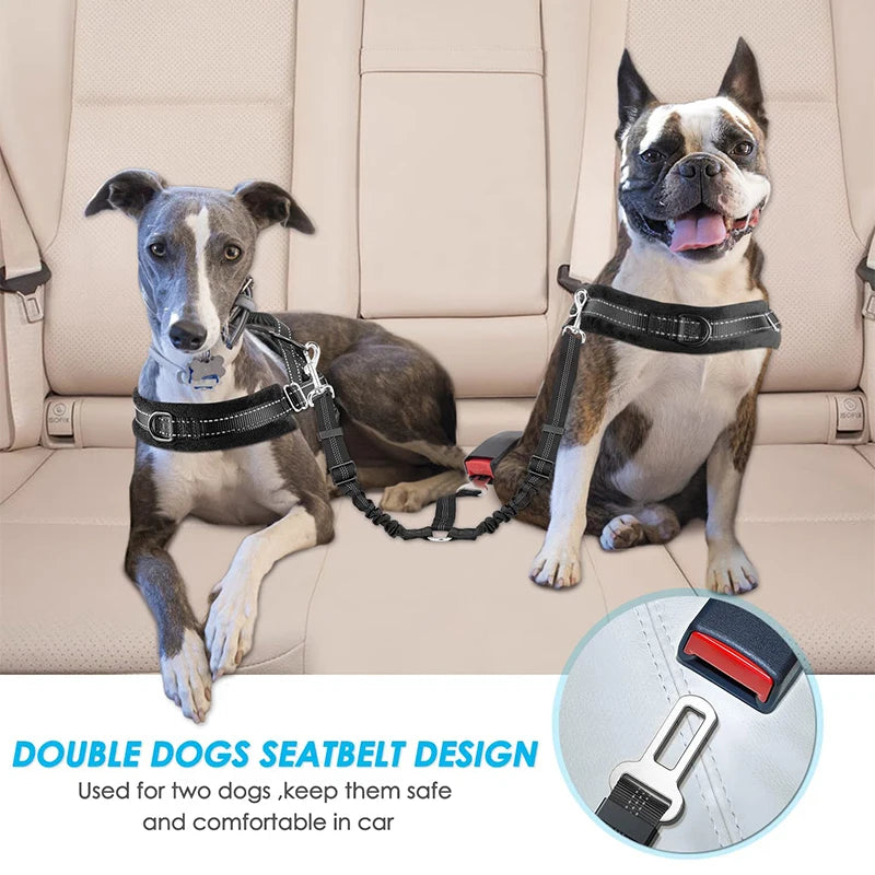 Double Dog Car Seat Belt with Reflective Stripes, Adjustable Safety Leash for Two Pets. - Paws Solution