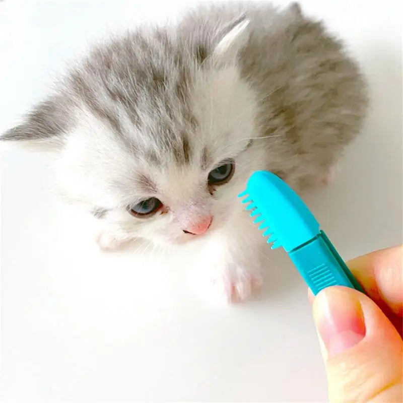 Pet Eye Brush Tear Stain Remover Comb For Cats Dogs Cleaning Grooming Comb Flexible Silicone Design Soft Bristles Pet Supplies - Paws Solution