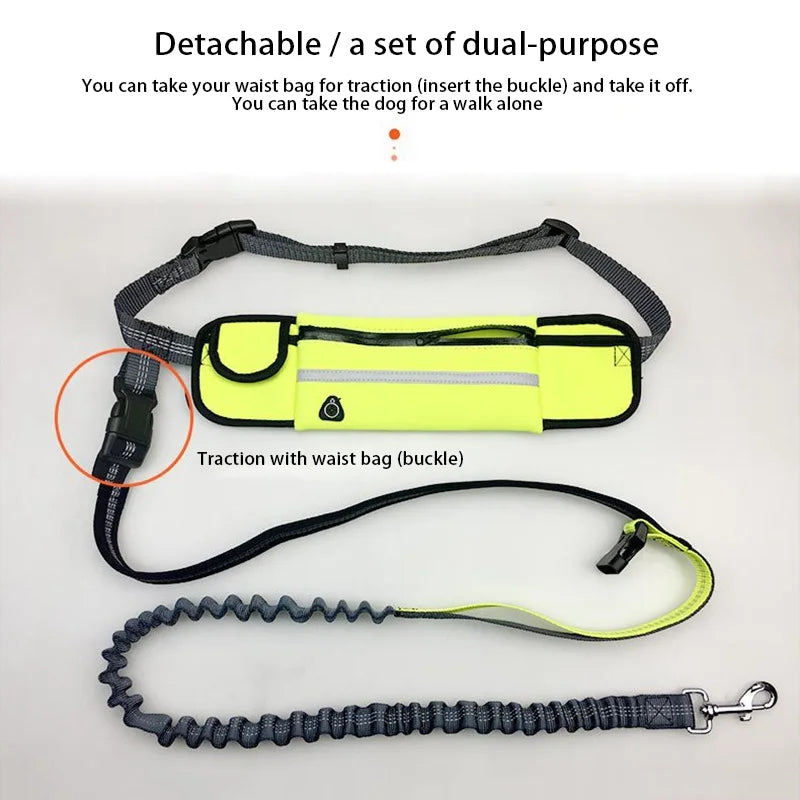 Running Dog Leash: Hands-Free Nylon Harness - Paws Solution