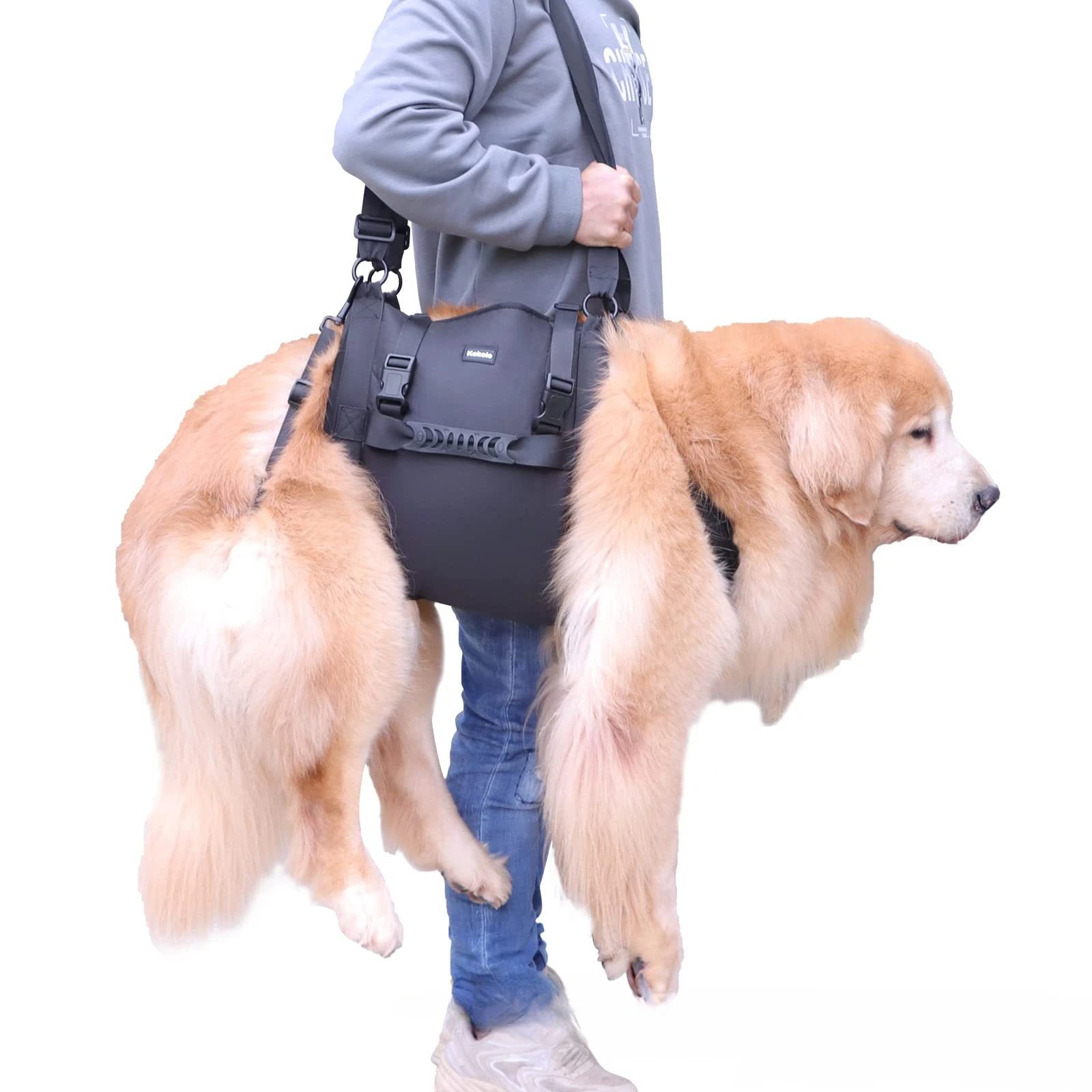 Portable Dog Sling for Back Legs, Hip Support and Rehabilitation Harness - Paws Solution