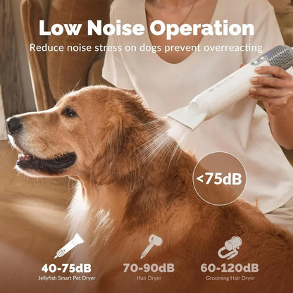 Dog Hair Dryer: High Velocity Force Blower, Lightweight - Paws Solution