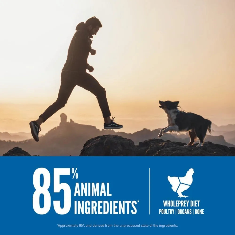 Grain-Free Dry Dog Food, All Life Stages, 23.5 lb - Paws Solution