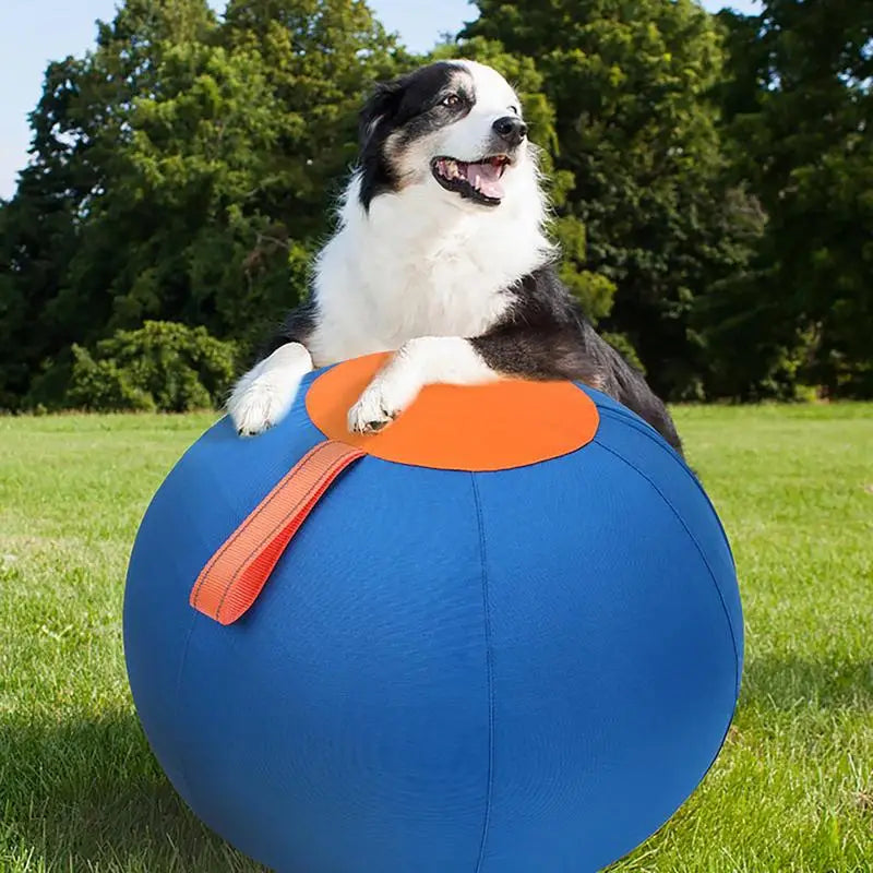 Outdoor Inflatable Dog Ball Toy, Large Blue Pet Toy for Parks and Lawns - Paws Solution