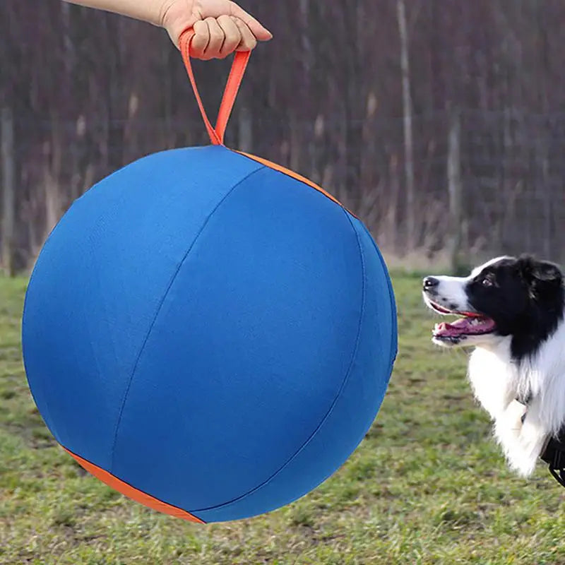 Outdoor Inflatable Dog Ball Toy, Large Blue Pet Toy for Parks and Lawns - Paws Solution