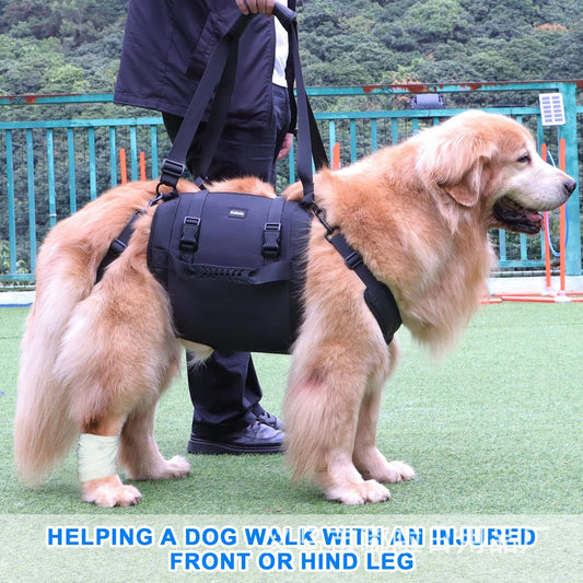 Portable Dog Sling for Back Legs, Hip Support and Rehabilitation Harness - Paws Solution