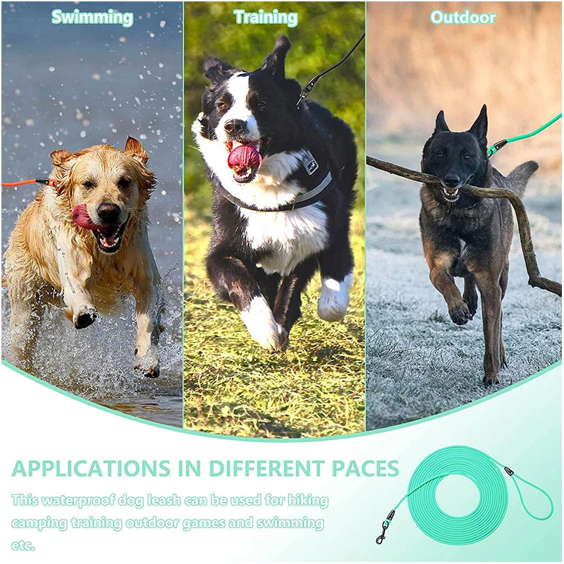 Waterproof Dog Leash: Training Recall, Various Lengths - Paws Solution