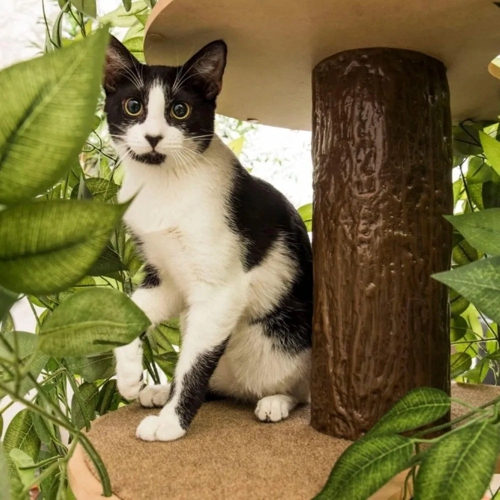 Multi-Level Cat Condo with Leaves, Made in USA - Paws Solution