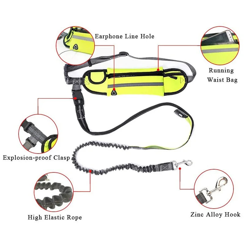 Running Dog Leash: Hands-Free Nylon Harness - Paws Solution