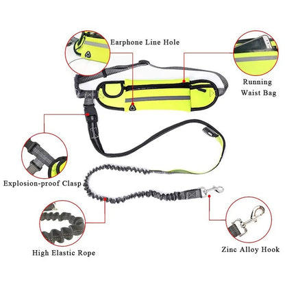 Running Dog Leash: Hands-Free Nylon Harness - Paws Solution