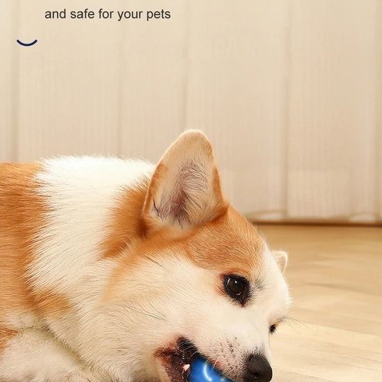 Smart ball for dogs