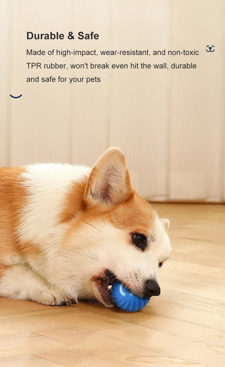 Smart ball for dogs